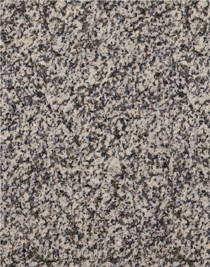 Gris Alba Granite Slabs & Tiles, Spain Grey Granite