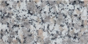Rosa Beta Granite Slabs & Tiles, Italy Pink Granite Rosa Beta Granite Slabs & Tiles, Italy Pink Granite