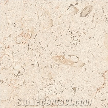 Jerusalem Ivory Limestone Tile, Israel Beige Limestone