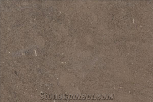 Caesar Brown Limestone Slabs & Tiles, Tunisia Brown Limestone