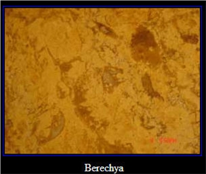 Breche Marble Slabs & Tiles