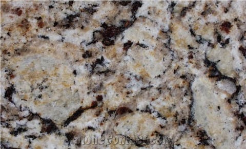Giallo Napoleone Slabs & Tiles, Giallo Napoleon Granite Slabs & Tiles