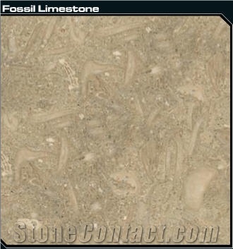 Seagrass Limestone Slabs & Tiles, Turkey Green Limestone
