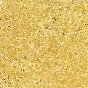 Amarillo Fosil Limestone Slabs & Tiles, Spain Yellow Limestone Amarillo Fosil Limestone Slabs & Tiles, Spain Yellow Limestone