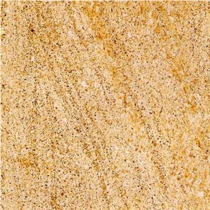 Amarillo Fossil Limestone Slabs