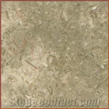 Jerusalem Gray Limestone Slabs & Tiles