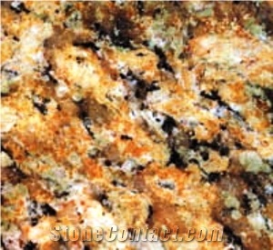 Giallo Napoleon Granite Slabs & Tiles, Brazil Yellow Granite
