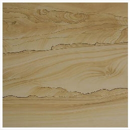 Scenery Sandstone Slabs & Tiles, China Yellow Sandstone
