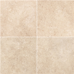 Seashell Limestone Slabs & Tiles, Turkey Beige Limestone