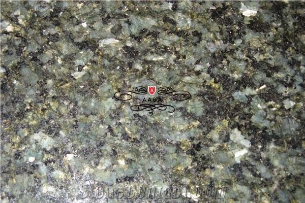 Verde Butterfly Green Granite Slab & Tile