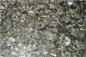 Verde Butterfly Green Granite Slab & Tile