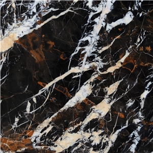 Michaelangelo Marble Slabs & Tiles, Pakistan Black Marble
