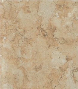Shelly Limestone Slabs & Tiles, Israel Beige Limestone Shelly Limestone Slabs & Tiles, Israel Beige Limestone