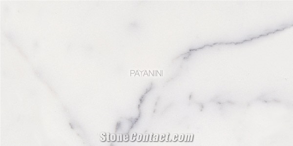 Bianco Carrara Venato Marble Marble Tile