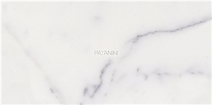 Bianco Carrara Venato Marble Marble Tile