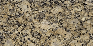 Giallo Veneziano Fiorito Granite Tile