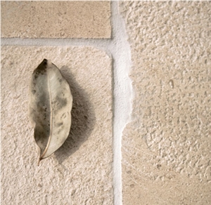 Golden Beach Limestone Pattern Slabs & Tiles, Portugal Yellow Limestone