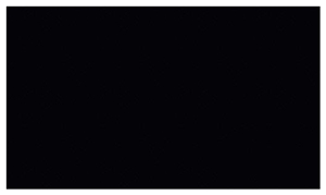 Absolute Black Granite Slabs & Tiles, India Black Granite