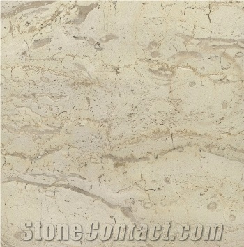 Filetto Hassana Limestone Slabs & Tiles, Egypt Beige Limestone