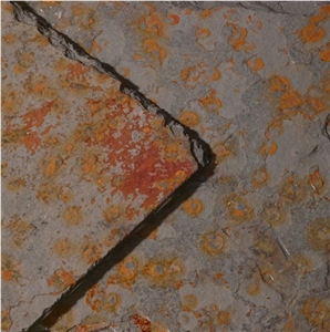 Multicolor Vermelho Slate Bevelled Slabs & Tiles