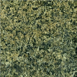 China Green Granite Slabs & Tiles