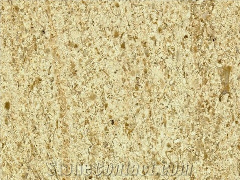 Moca Creme - Moca Cream Limestone