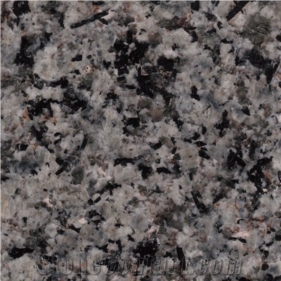 Nagina Green Granite Slabs & Tiles, India Green Granite
