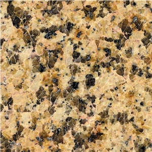 Quy Nhon Yellow Granite Slabs & Tiles, Viet Nam Yellow Granite