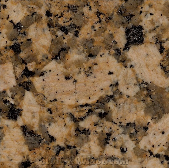 Giallo Fiorito Granite Slabs