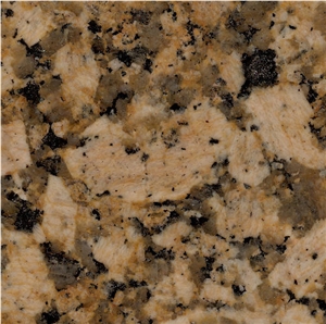 Giallo Fiorito Granite Slabs