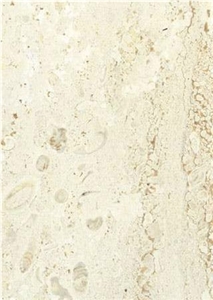 Brecia Sarda Chiara Marble Slabs & Tiles Brecia Sarda Chiara Marble Slabs & Tiles