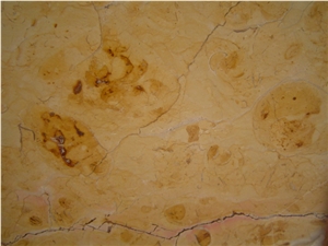 Dorado Tepexi Limestone Slabs & Tiles, Mexico Yellow Limestone