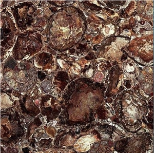 Brown Petrified Wood Stone