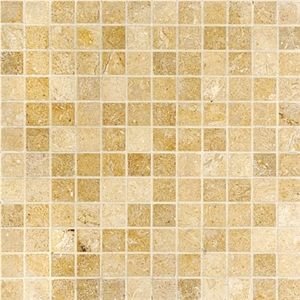 Seashell Limestone 1x1 Mosaic