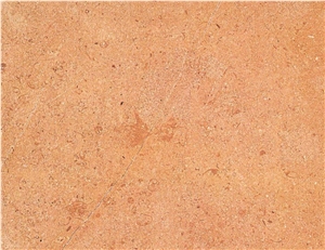 Arish Gold Limestone Slabs & Tiles, Egypt Yellow Limestone