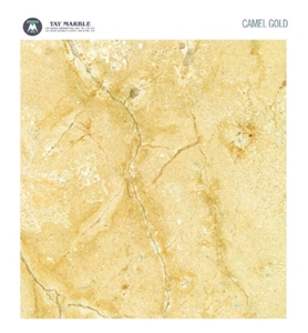 Camel Gold Limestone Slabs & Tiles, Turkey Yellow Limestone
