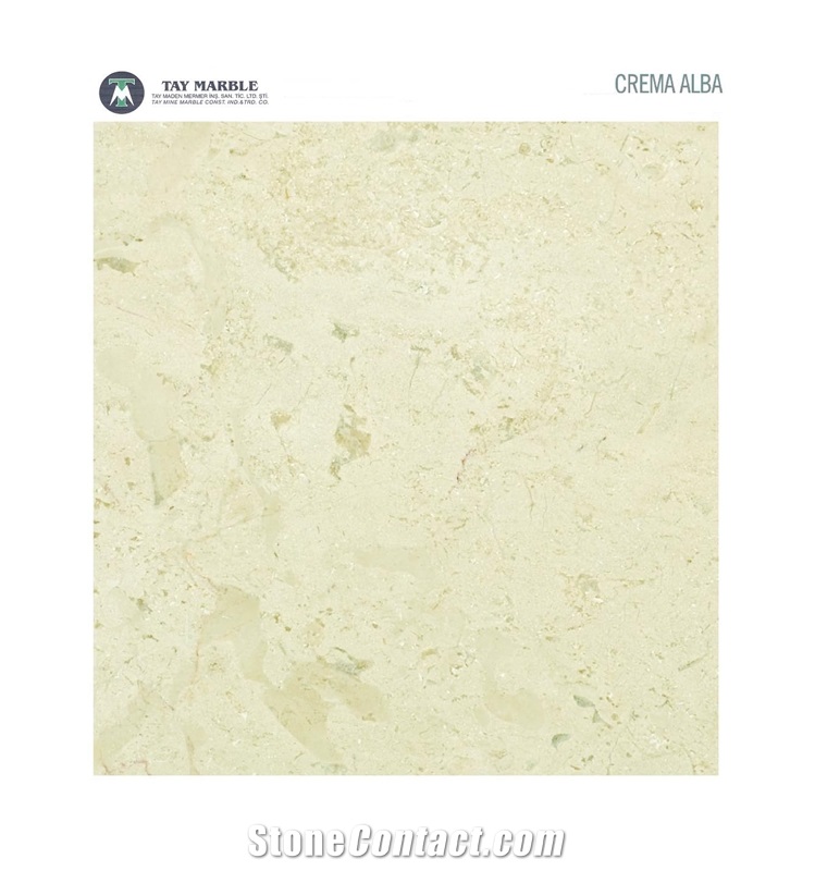 Crema Nouva - Crema Alba Marble