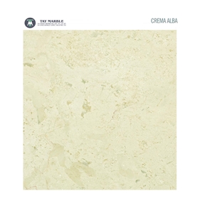 Crema Nouva - Crema Alba Marble