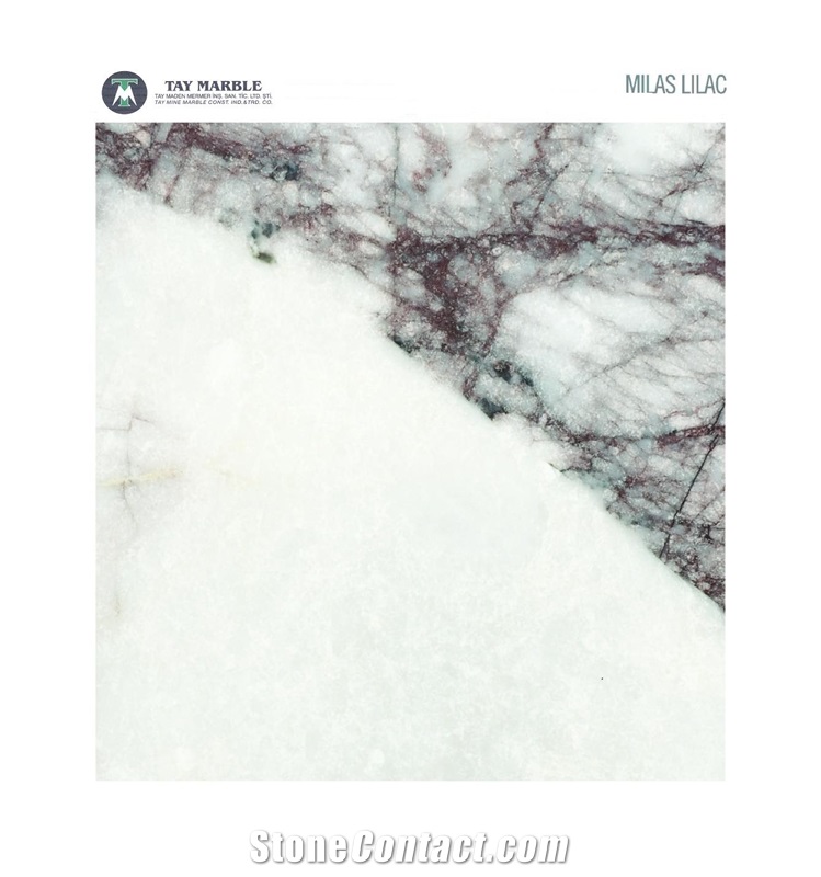 Milas Lilac Marble Slabs & Tiles, Turkey Lilac Marble