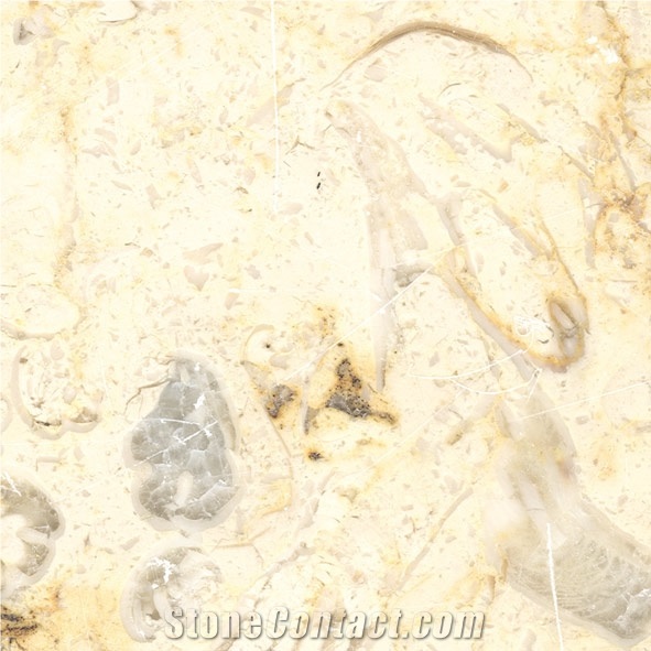 Fletto Khatamia Limestone Slabs & Tiles, Egypt Beige Limestone