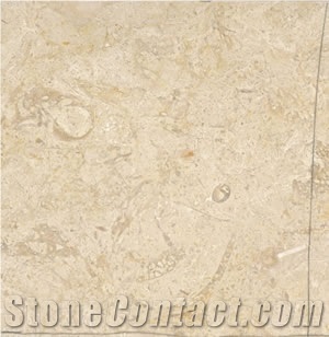 Lioz Pero Pinheiro Limestone