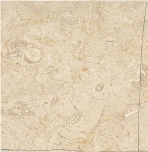 Lioz Pero Pinheiro Limestone Lioz Pero Pinheiro Limestone