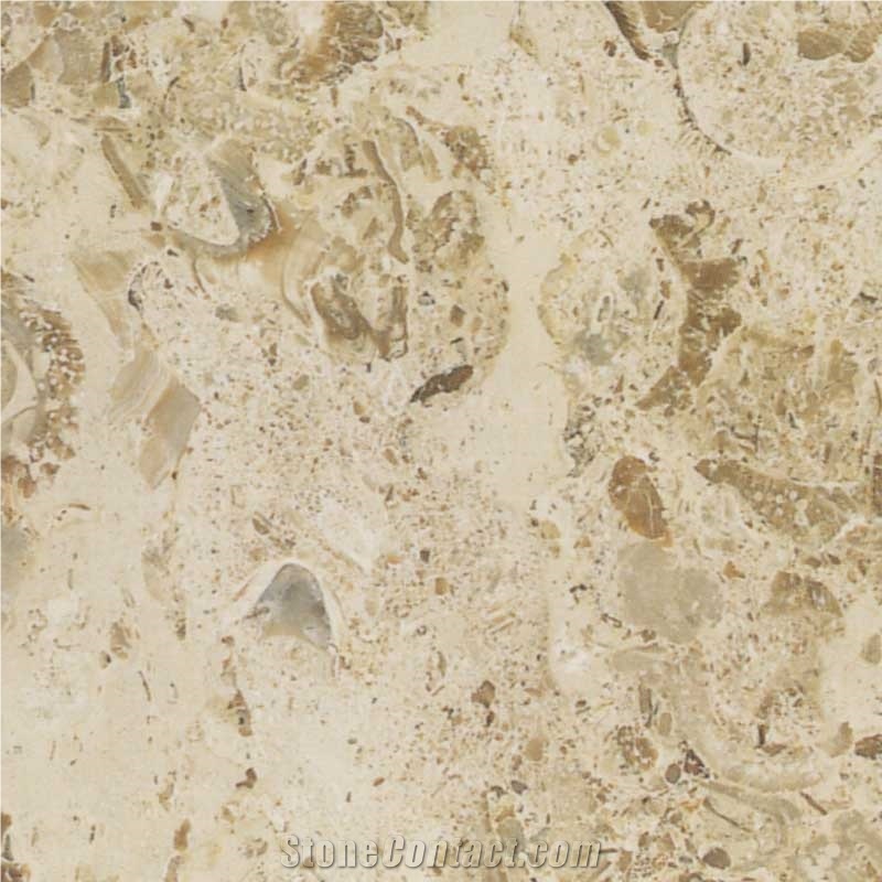 Aurisina Fiorita Limestone Slabs & Tiles, Italy Beige Limestone