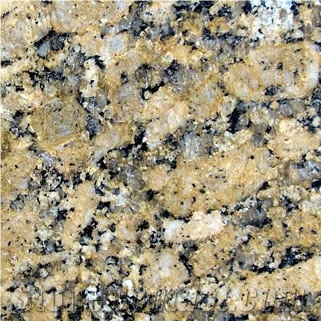 Giallo Fiorito Granite Slabs & Tiles, Brazil Yellow Granite