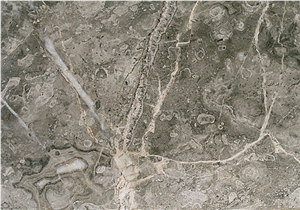 Fior Di Bosco Marble Slabs & Tiles, Italy Grey Marble