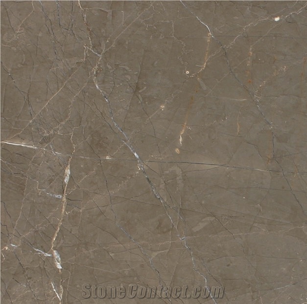 Gaudi Marble Slabs, Spain Brown Marble