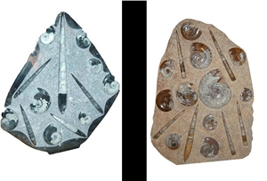 Fossil Stone Plaques