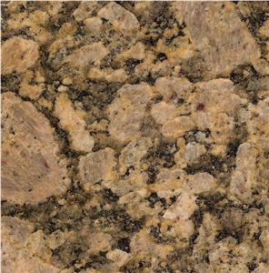 Giallo Firorito Granite Slabs & Tiles, Giallo Fiorito Granite Slabs & Tiles