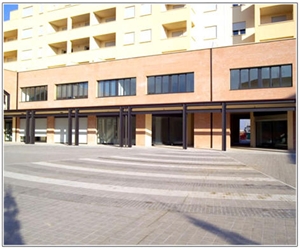 Grey Granite Paving Stone