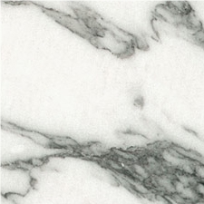 Arabescato Corchia Marble
